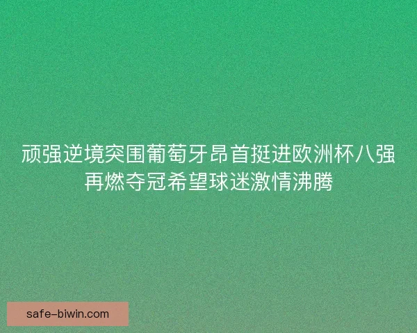 顽强逆境突围葡萄牙昂首挺进欧洲杯八强再燃夺冠希望球迷激情沸腾